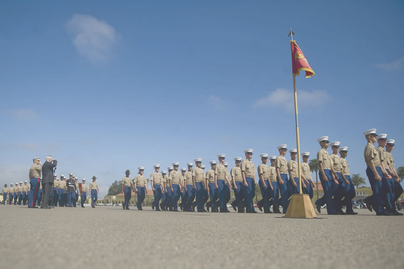 What can Digital Parade do for me?